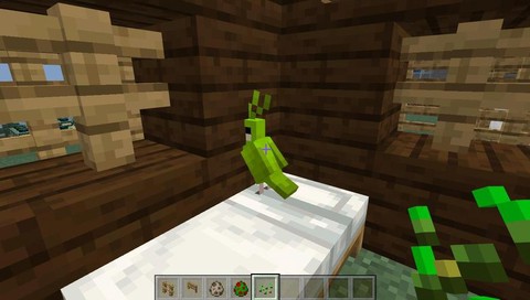 我的世界鹦鹉怎么做