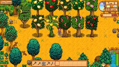 星露谷物语什么果树