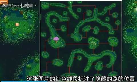 魔力宝贝森林怎么走[图1]