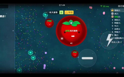 为什么没有球球大作战[图2]