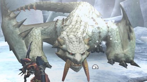 怪物猎人3龙弱什么[图1]