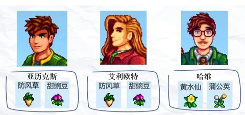 星露谷物语怎么占卜